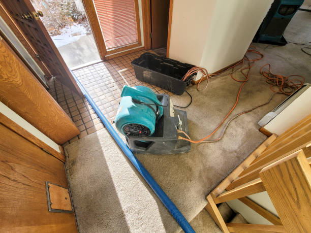 Best Water damage restoration near me  in Midland, TX