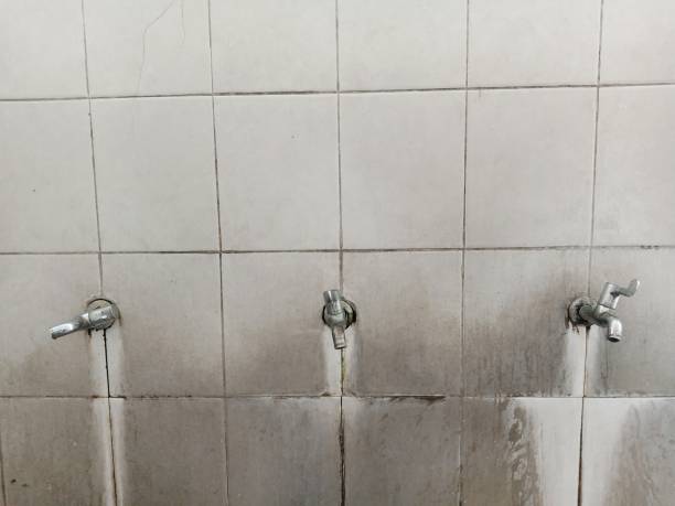 Best Carpet water damage restoration  in Midland, TX