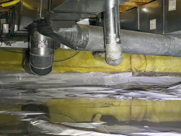 Best Local water damage restoration  in Midland, TX
